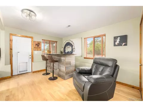 22 Buttermilk Ln, Bailey, CO 80421 photo 17