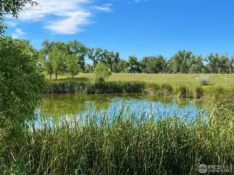 38250 County Road 170, Agate, CO 80101