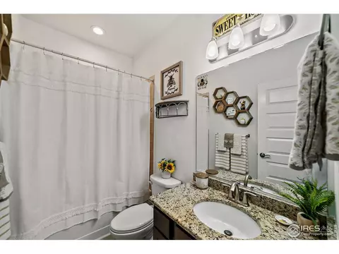 2161 Honeybee Dr, Windsor, CO 80550 photo 17