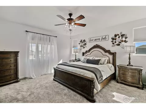2161 Honeybee Dr, Windsor, CO 80550 photo 8
