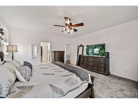 2161 Honeybee Dr, Windsor, CO 80550 photo 10
