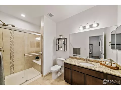2161 Honeybee Dr, Windsor, CO 80550 photo 25