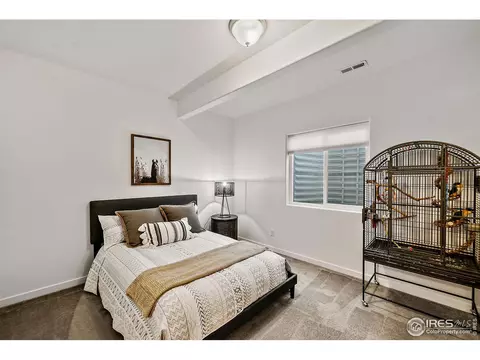 2161 Honeybee Dr, Windsor, CO 80550 photo 24