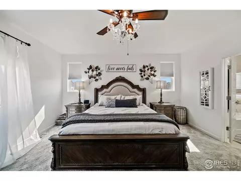 2161 Honeybee Dr, Windsor, CO 80550 photo 9