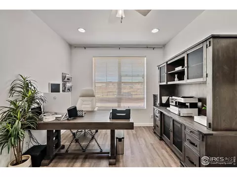 2161 Honeybee Dr, Windsor, CO 80550 photo 27