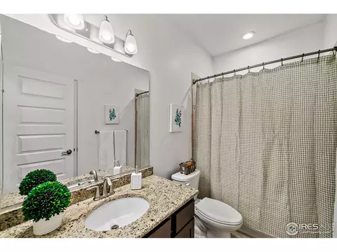 2161 Honeybee Dr, Windsor, CO 80550 photo 26