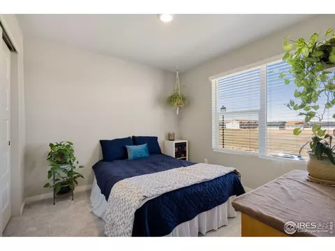 602 Applegate Trl, Ault, CO 80610 photo 19