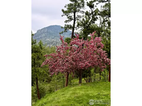 78 Nez Perces Ct, Lyons, CO 80540 photo 35