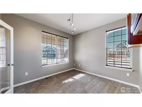 142 Beluga Dr, Windsor, CO 80550 photo 19