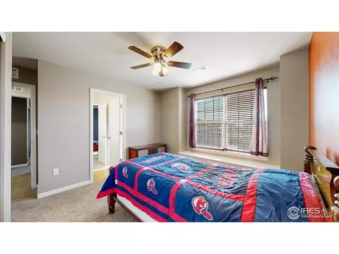 142 Beluga Dr, Windsor, CO 80550 photo 32