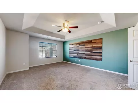 142 Beluga Dr, Windsor, CO 80550 photo 22