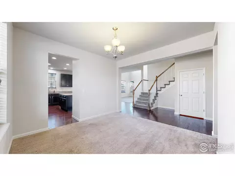 142 Beluga Dr, Windsor, CO 80550 photo 15