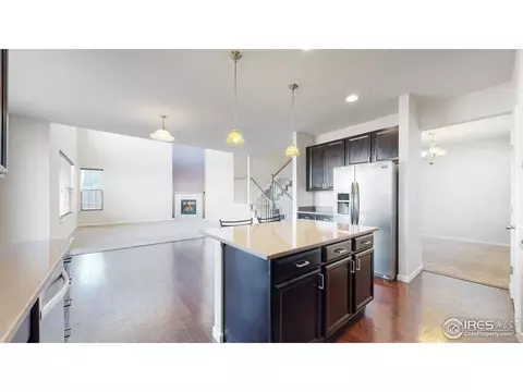 142 Beluga Dr, Windsor, CO 80550 photo 10
