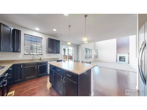 142 Beluga Dr, Windsor, CO 80550 photo 8