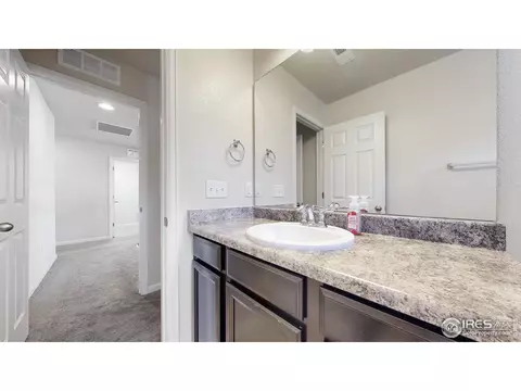 142 Beluga Dr, Windsor, CO 80550 photo 30