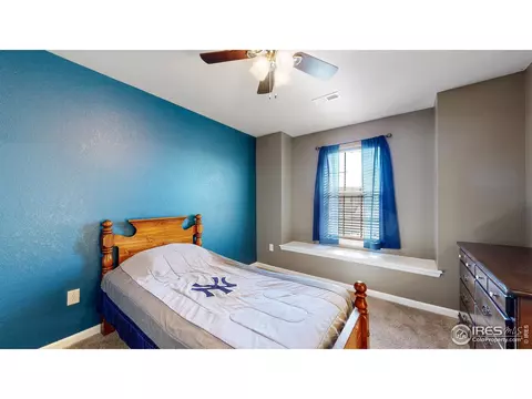 142 Beluga Dr, Windsor, CO 80550 photo 34