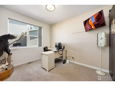 1560 Marbeck Dr, Windsor, CO 80550 photo 18