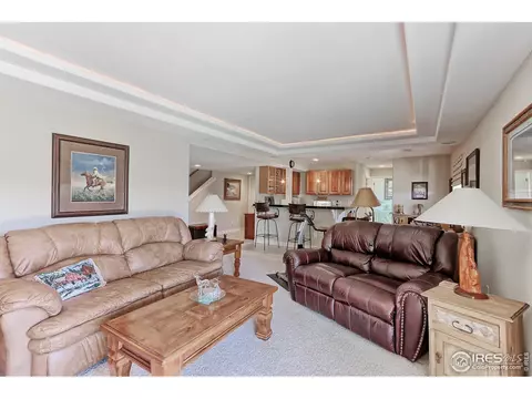 8782 E 148th Ln, Thornton, CO 80602 photo 23
