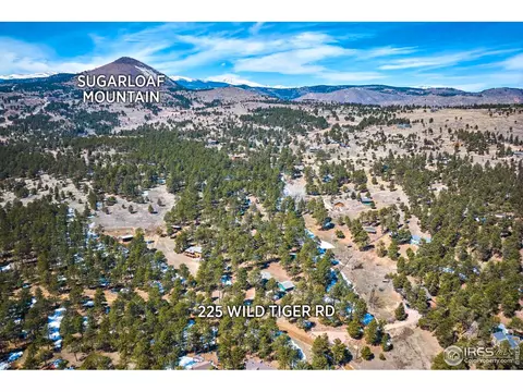 225 Wild Tiger Rd, Boulder, CO 80302 photo 29