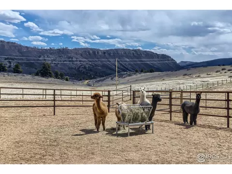 2300 Dry Creek Dr, Lyons, CO 80540 photo 27