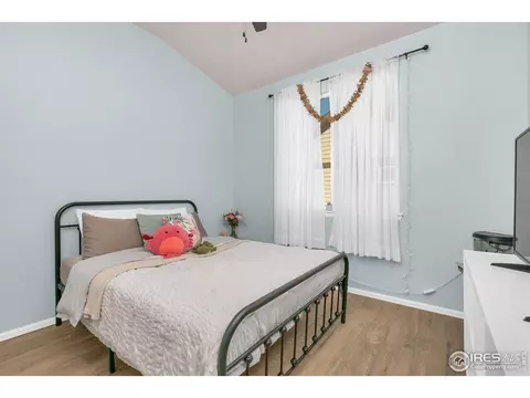 531 El Diente Ave, Severance, CO 80550 photo 8