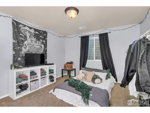 531 El Diente Ave, Severance, CO 80550 photo 23