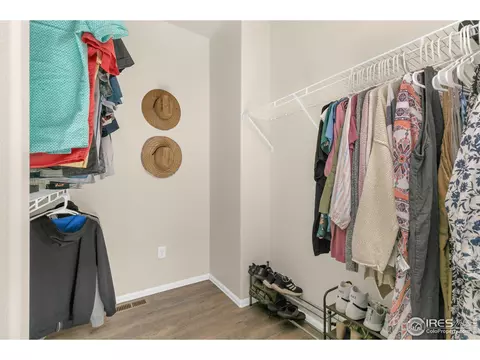 531 El Diente Ave, Severance, CO 80550 photo 21