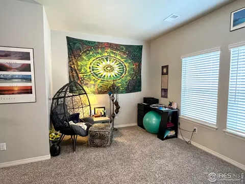 890 Winding Brook Dr, Berthoud, CO 80513 photo 17