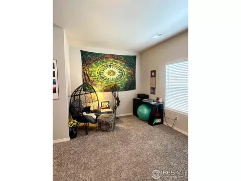 890 Winding Brook Dr, Berthoud, CO 80513 photo 18