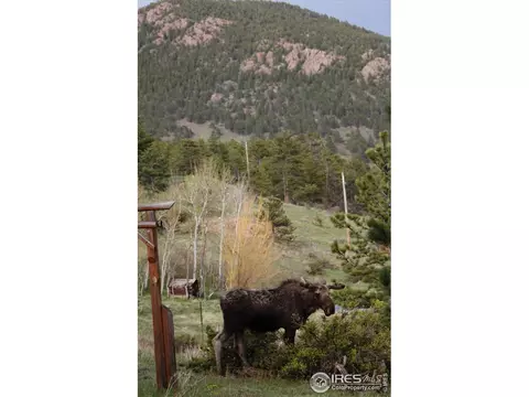 502 Taylor Rd, Lyons, CO 80540 photo 38