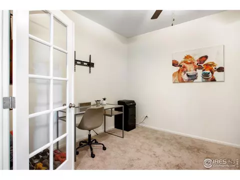 1098 Long Meadows St, Windsor, CO 80550 photo 20