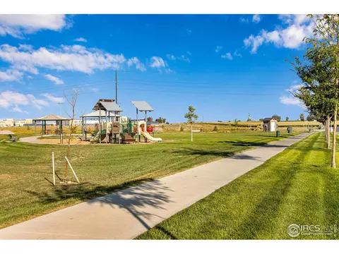 1098 Long Meadows St, Windsor, CO 80550 photo 30