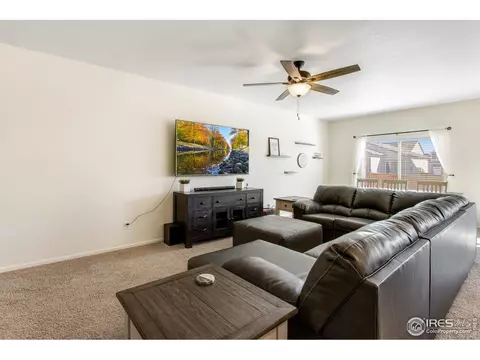 1098 Long Meadows St, Windsor, CO 80550 photo 16