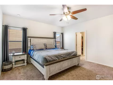 1098 Long Meadows St, Windsor, CO 80550 photo 17