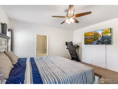 1098 Long Meadows St, Windsor, CO 80550 photo 18