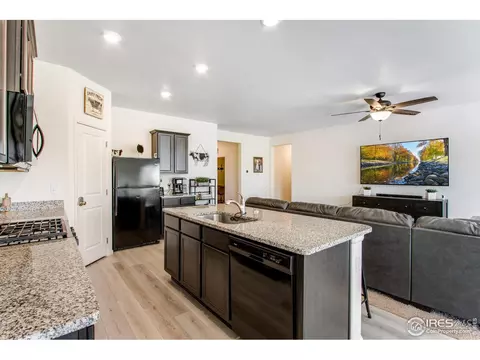 1098 Long Meadows St, Windsor, CO 80550 photo 10