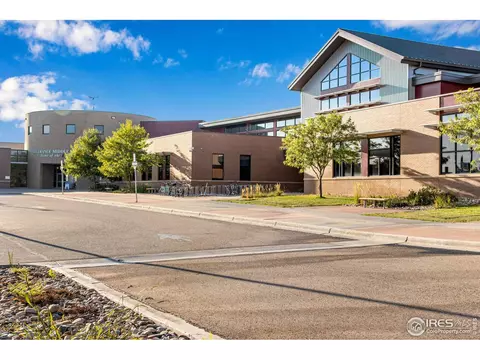 1098 Long Meadows St, Windsor, CO 80550 photo 28