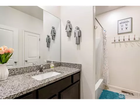 1098 Long Meadows St, Windsor, CO 80550 photo 24
