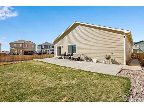 1098 Long Meadows St, Windsor, CO 80550 photo 3