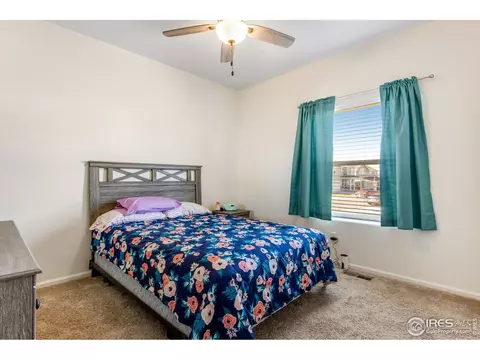 1098 Long Meadows St, Windsor, CO 80550 photo 22