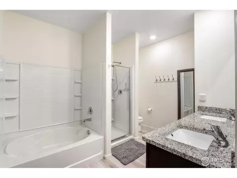 1098 Long Meadows St, Windsor, CO 80550 photo 19