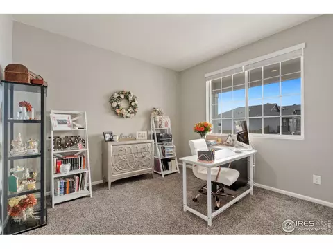 176 Haymaker Ln, Severance, CO 80550 photo 5
