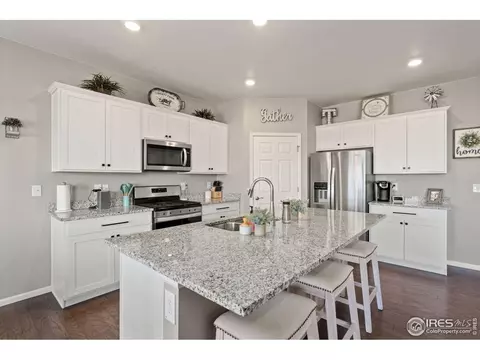 176 Haymaker Ln, Severance, CO 80550 photo 10