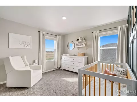 176 Haymaker Ln, Severance, CO 80550 photo 19