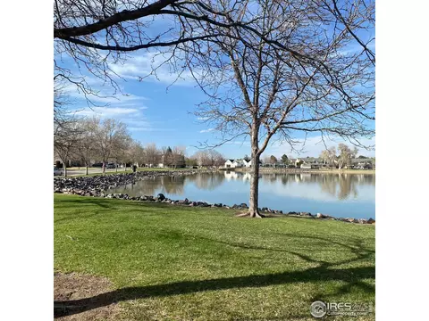 870 E 129th Ave, Thornton, CO 80241 photo 36