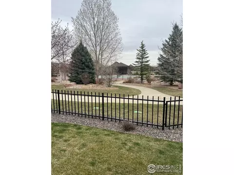 2021 Vineyard Dr, Windsor, CO 80550 photo 3