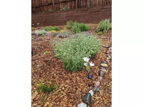 18429 E Powers Pl, Centennial, CO 80015 photo 35