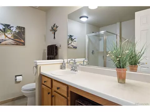 21394 E Prentice Pl, Centennial, CO 80015 photo 27