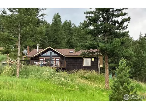 114 Old Whiskey Rd, Nederland, CO 80466