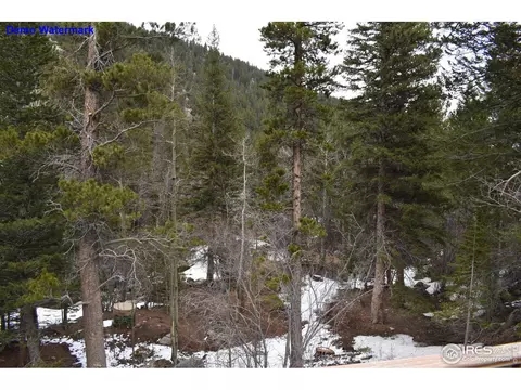 718 Peaceful Valley Rd, Lyons, CO 80540 photo 21